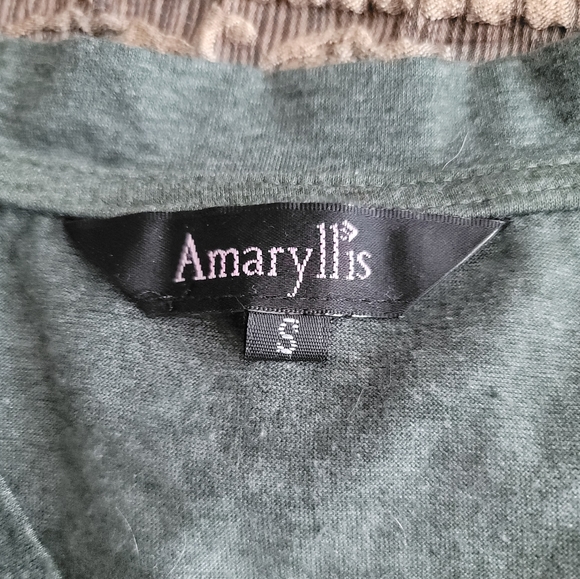 Amaryllis Dark Heather Green Basic V-Neck Top | Size Small | Like New - Picture 2 of 3